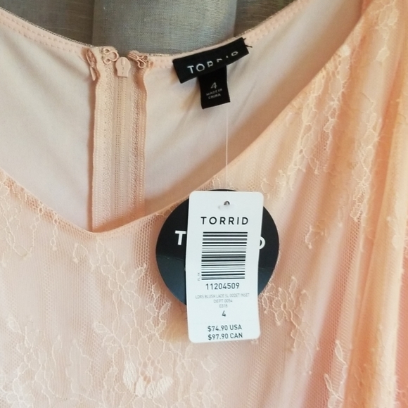 Torrid Runway Collection Light Pink Lace Dress - Picture 4 of 5